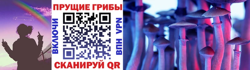 Псилоцибиновые грибы ЛСД  дарнет шоп  Оханск 